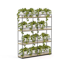 Load image into Gallery viewer, KNIGHT GROUP Cubit Planter Wall - 1100H