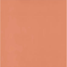 Load image into Gallery viewer, EDEN Romano Single Seater - Charisma Vinyl
