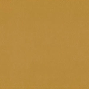 EDEN Romano Single Seater - Charisma Vinyl