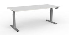 Load image into Gallery viewer, Electric Standing Desk NZ Silver Grey Frame / NZ Made Snowdrift Top