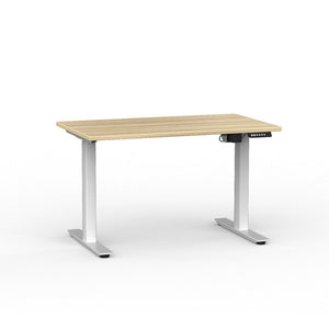 ELECTRIC Standing Desk 1200L