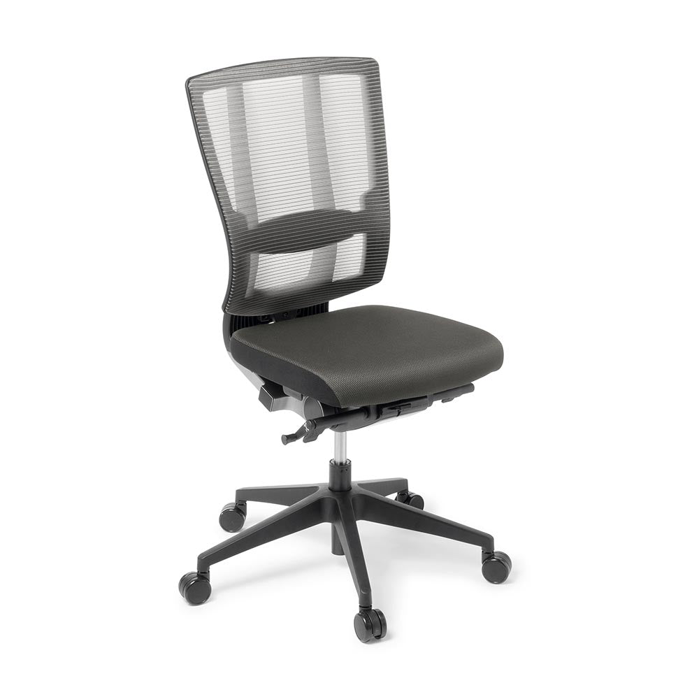 BLACK CLOUD ERGONOMIC OFFICE CHAIR WITH MESH BACK